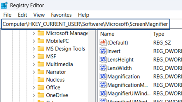 Registry Editor Go to HKEY_CURRENT_USER, Software,Microsoft,ScreenMagnifier